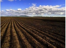 土壤改良专用草炭土