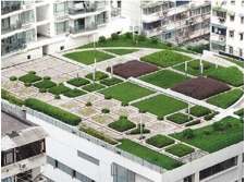 屋顶绿化专用草炭土