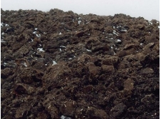 土壤改良专用草炭土