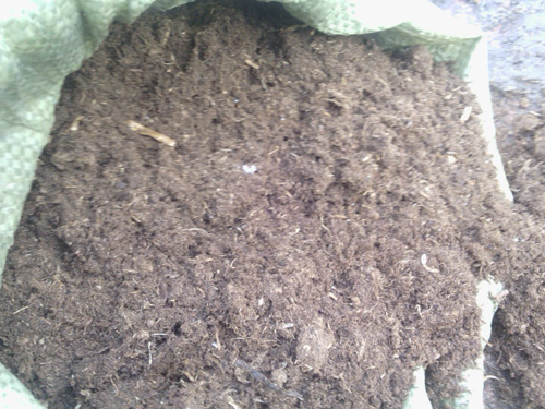 食用菌种植专用草炭土